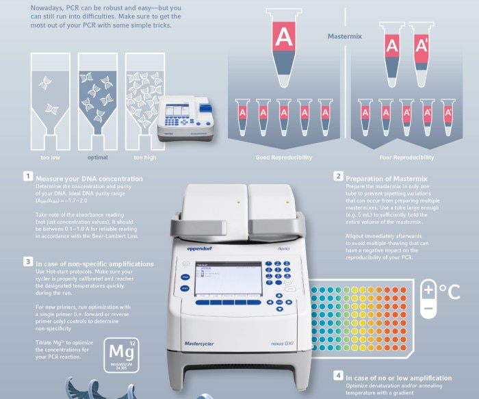 153451_infographic_thermocycler_and_detection_instruments_reproducible_dna_amp_1