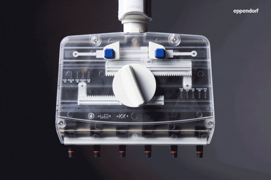 Move It® adjustable tip spacing multi-channel pipettes work without any tubing connections between cone and piston-cylinder system Move It® Adjustable Tip Spacing Pipettes: Transparent Lower Part in Action (GIF, Frontal View)