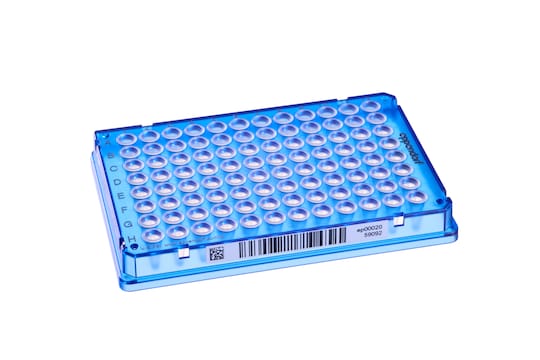 Barcoded Eppendorf twin.tec PCR plate 96, blue with SafeCode for high-throughput sample handling