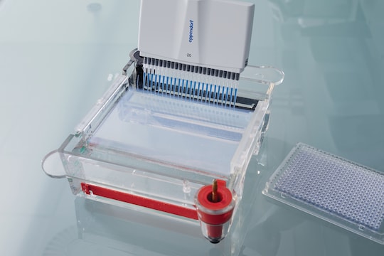 Eppendorf Research® plus - 手動ピペット