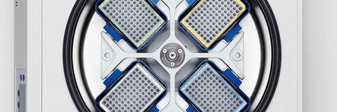 DWP 96 in rotor S-4-104 View of an Eppendorf S-4-104 rotor from above with 4 Deepwell Plates 96