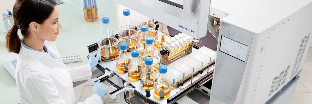 Female laboratory assistant standing in front of the open shaker Eppendorf Innova S44i and pulling out the platform with samples by the handle