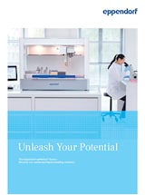 Unleash Your Potential